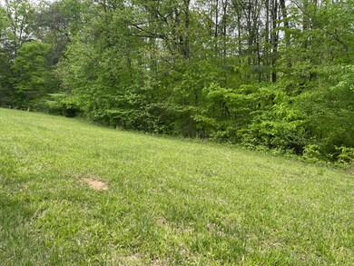 54 Scafidi Ln, Jamestown, KY 42629 - photo 2