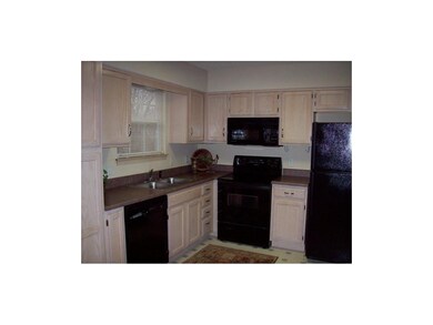 Kitchen window overlooks wooded area