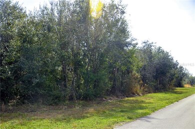 27027 San Pablo Dr, Punta Gorda, FL 33955 - photo 4