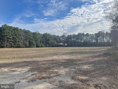 20279 Nanticoke Rd, Nanticoke, MD 21840 - photo 3