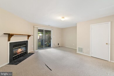 6208 William Mosby Dr, Centreville, VA 20121 - photo 6