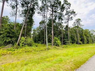 Tract 1 U S 319, Tifton, GA 31794 - photo 3