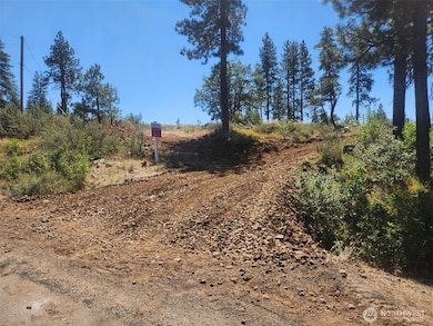 0 Box Canyon Rd unit NWM2402336, Goldendale, WA 98620 - photo 2