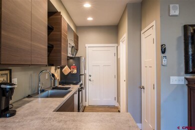 610 E 8th Ave unit 210, Durango, CO 81301 - photo 3
