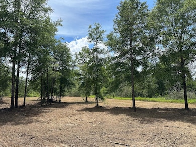 0 Newman Rd unit 22348697, Mobile, AL 36695 - photo 5