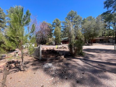806 N Easy St, Payson, AZ 85541 - photo 6
