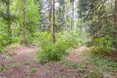 0 317th St NW, Stanwood, WA 98292 - photo 3