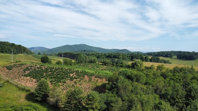 0 Island Ford Rd, Laurel Springs, NC 28644 - photo 7