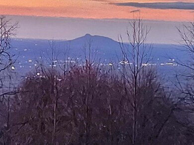 TBD Alpine Way, Fancy Gap, VA 24328 - photo 5