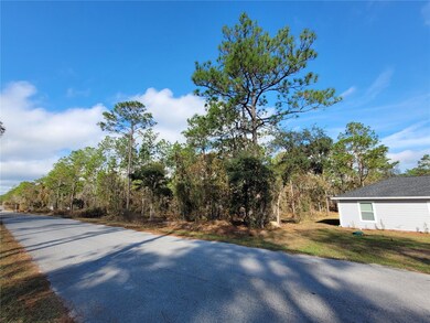 0 NW Foxglove Ln unit MFROM714399, Dunnellon, FL 34431 - photo 4