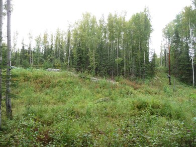 14248 W Holly Loop, Big Lake, AK 99652 - photo 6