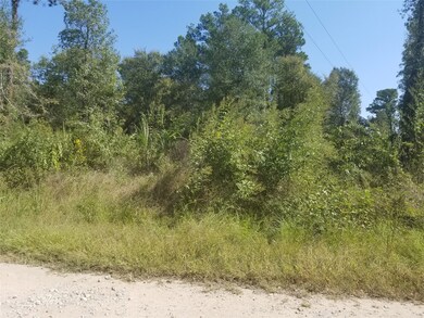 0 Carter, Magnolia, TX 77355 - photo 2