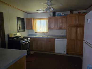 310 S Dundas St, Schaller, IA 51053 - photo 7