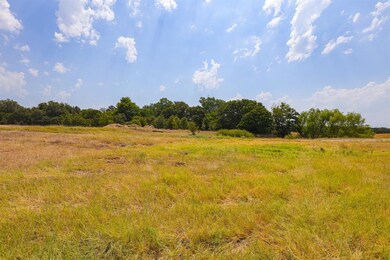 Lot 14 Aslan Rd, Poolville, TX 76487 - photo 3