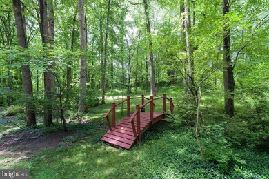 6667 Van Winkle Dr, Falls Church, VA 22044 - photo 3