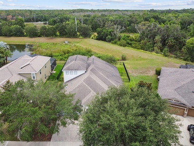 15651 Starling Water Dr, Lithia, FL 33547 - photo 3