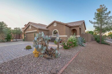 Low maintenance front landscaping
