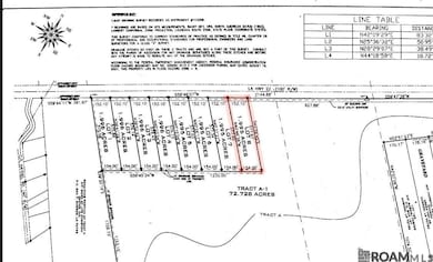 Lot #8 Louisiana 22, Darrow, LA 70725 - photo 2