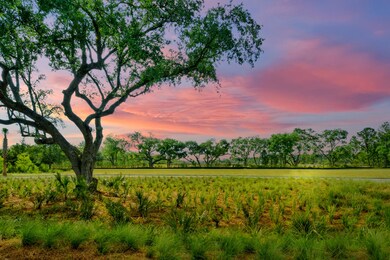 Green Space View to Lot Sunset