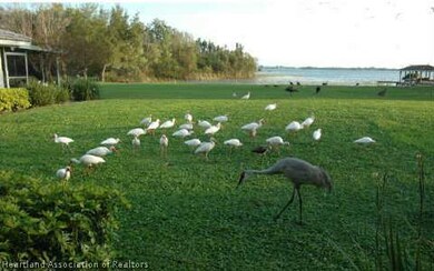 unlisted-address, Lake Placid, FL 33852 - photo 3