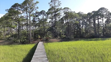 2970 Pristine Dr, Carrabelle, FL 32322 - photo 6