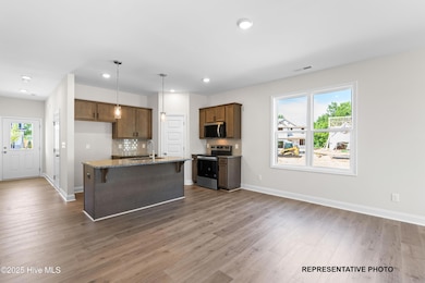 286 Bluejay St, Clayton, NC 27527 - photo 3