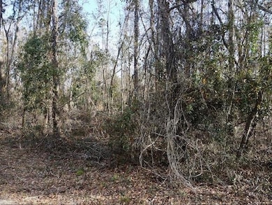0 NE Cedar Trail unit 389161, Pinetta (Madison County), FL 32350 - photo 2