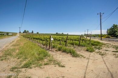 0 Wilson Hwy, Grandview, WA 98930 - photo 6