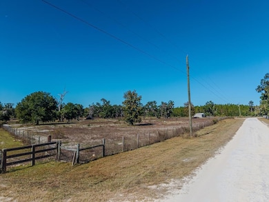 1325 NE 399th St, Cross City, FL 32628 - photo 2