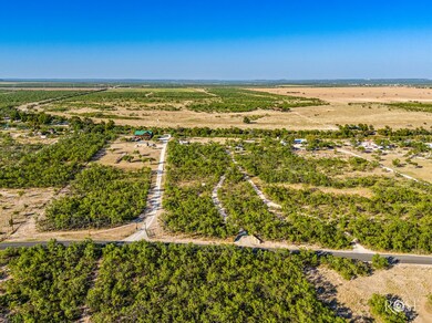 13106 Spring Creek Ln, San Angelo, TX 76904 - photo 2
