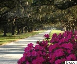 768 Weston Dr unit Lot 125, Conway, SC 29526 - photo 5