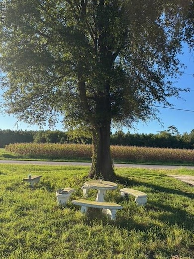 7496 Yellow Hammer Rd, Zuni, VA 23898 - photo 4