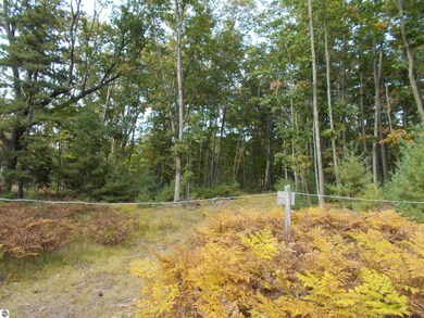 6004 M 55, Whittemore, MI 48770 - photo 3