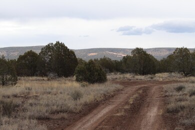 Dirt Road and Views