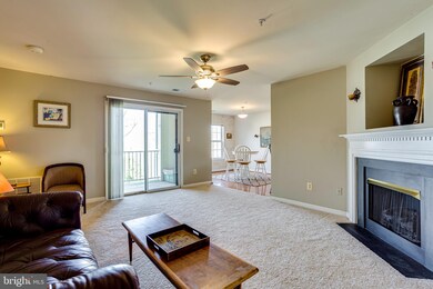 9131 Gracious End Ct unit 203, Columbia, MD 21046 - photo 2