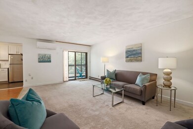 47 Mystic St unit 2B, Arlington, MA 02474 - photo 5