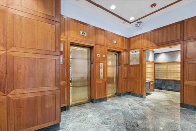 Walton Colonnade unit 33A, Chicago, IL 60611 - photo 3