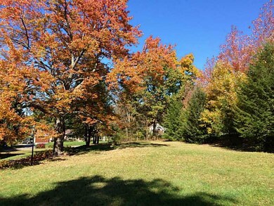 Yard/Garden. Side yard in the fall.