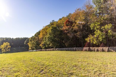 0 Red Clover Ln, Natural Bridge, VA 24578 - photo 5