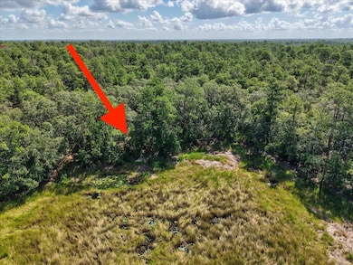 229 Arkansas St, Satsuma, FL 32189 - photo 4