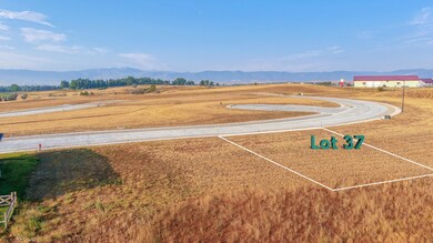 Lot 37b