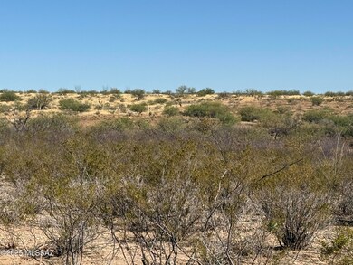 1268 E Cougar Trail unit 123, St. David, AZ 85630 - photo 6