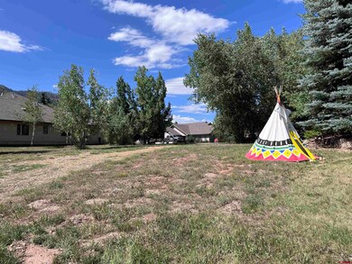 646 Horse Thief Ln, Durango, CO 81301 - photo 6