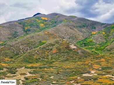 TBD Usfs Forestroad 132a, Questa, NM 87556 - photo 4