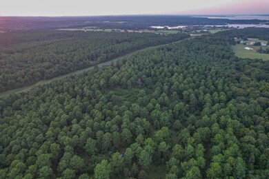 0 E S Sh 155, Frankston, TX 75763 - photo 6