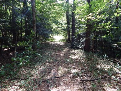 377 Tully Rd, Orange, MA 01364 - photo 2