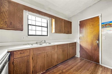 Kitchen featuring dark wood-style flooring, light 