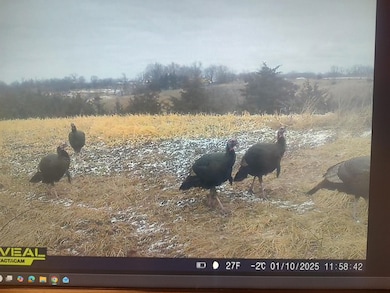 0 Highway 129, Unionville, MO 63535 - photo 5