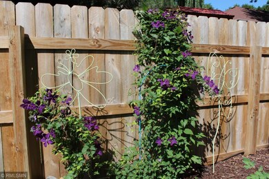 Gorgeous clematis!