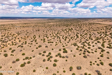 0 Red Sky Ranch Lot 384 unit 257799, St. Johns, AZ 85936 - photo 6